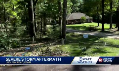 Severe storm aftermath