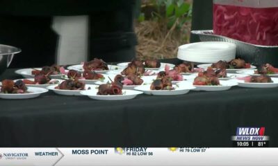 Hundreds attend taste of Taste of Ocean Springs Food & Wine Festival