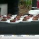 Hundreds attend taste of Taste of Ocean Springs Food & Wine Festival