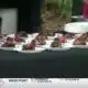 Hundreds attend taste of Taste of Ocean Springs Food & Wine Festival