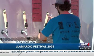 Fly Llama Brewery hosts 2nd annual Llamaroo Music Festival