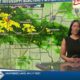 News 11 at 10PM_Weather 5/12/24
