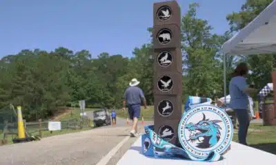 Circle of the Dragon 12 Hr Endurance Run