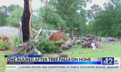 Fallen tree injures one during storm in Lawrence County