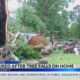 Fallen tree injures one during storm in Lawrence County