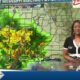 News 11 at 10PM_Weather 5/13/24