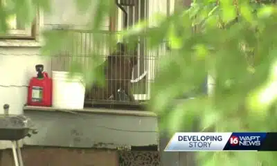 Father of 7-year-old wants answers after dog attack in Jackson