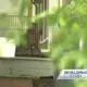 Father of 7-year-old wants answers after dog attack in Jackson