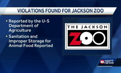 USDA releases inspection report on the Jackson Zoo