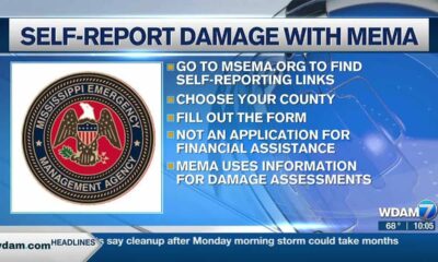 Self-report damage with MEMA