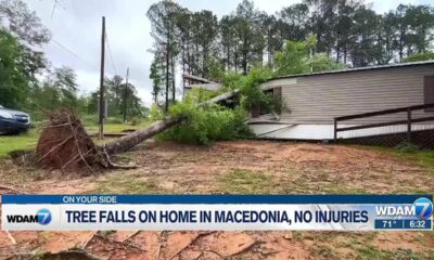 Tree falls on home in Macedonia, no injuries reported