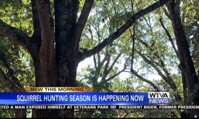 Squirrel hunting season begins in Mississippi