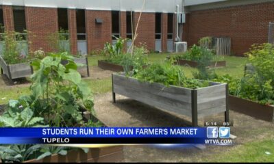Farmers' market held by Tupelo students