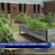 Farmers' market held by Tupelo students