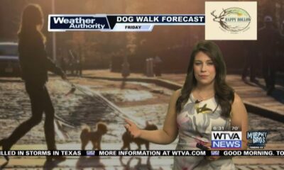 Dog Walk Forecast for May 17 – Charlie