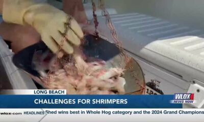 Local shrimpers say conditions not yet ideal for 2024 season