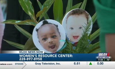 Biscuits for Babies fundraiser supports Women’s Resource Center