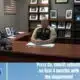Perry Co. sheriff's first three months in office