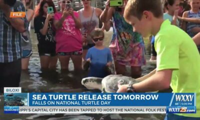 Mississippi Aquarium hosting turtle release on May 23