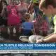 Mississippi Aquarium hosting turtle release on May 23