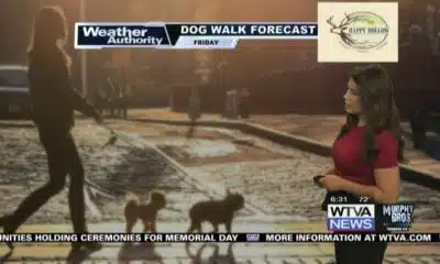 Dog Walk Forecast for May 24 - Salvatore