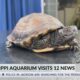 Mississippi Aquarium visits WJTV 12 News