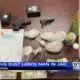 Drug bust landed Lee County man in jail; sheriff reactions