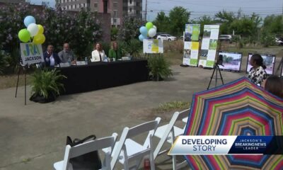 Green space is latest improvement to Farish Street district