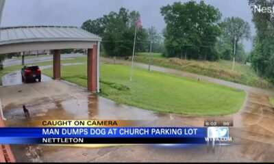 Man caught on camera abandoning dog in the rain in Nettleton