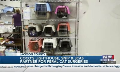 Coco’s Lighthouse, SNIP, and Jackson County Animal Shelter partner for discounted feral cat surge…