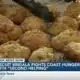Biscuit Brigala helps support food pantries in South Mississippi