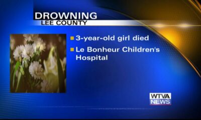 Toddler dies in Lee County drowning