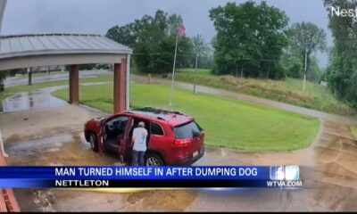 Man who abandoned dog in Nettleton surrenders to police