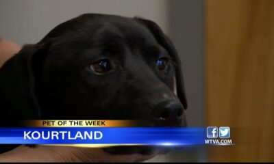 Pet of the Week: Kourtland