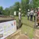 Focused on Mississippi: Pinola Day