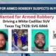 Picayune Police searching for armed robbery suspects