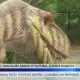 Love dinosaurs? There’s a new exhibit coming to Jackson
