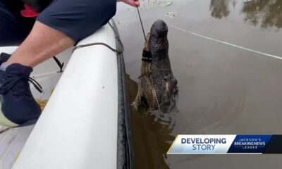 Alligator hunter training underway ahead of season