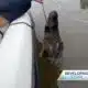 Alligator hunter training underway ahead of season