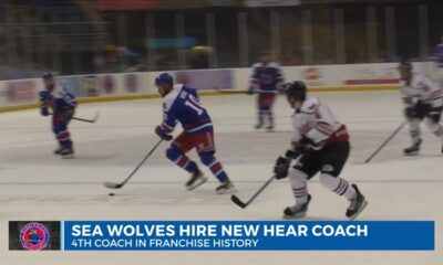 Sea Wolves hire new head coach