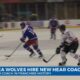 Sea Wolves hire new head coach