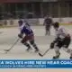 Sea Wolves hire new head coach