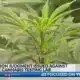 $6.3 million judgment issued against Natchez cannabis testing lab