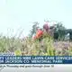 Pascagoula City Council declares Jackson Co. cemetery a public menace