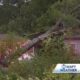 Residents are seeking shelter after tree falls on home