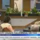 Jackson leaders focus on cemetery upkeep during meeting