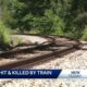 Woman killed after she was hit by a train