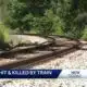 Woman killed after she was hit by a train