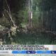 Six Mississippi counties approved for assistance from April storms