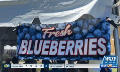 Residents celebrate at 40th annual Blueberry Jubilee in Poplarville